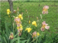 644a3f40-Picture 009.jpg